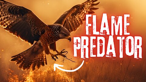 When Birds Play With Fire… Science Gets Weird