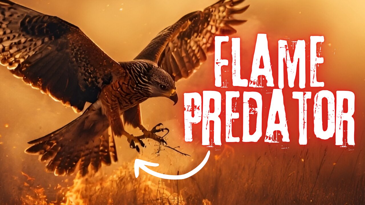 When Birds Play With Fire… Science Gets Weird