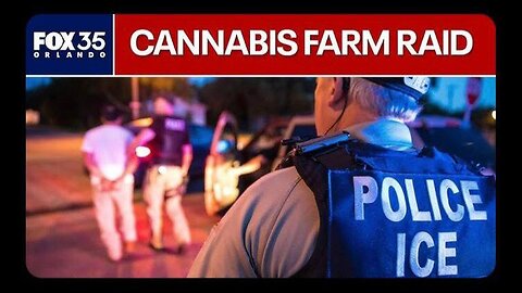 Texts only - ICE raids saved 10 child slaves from the cannabis farm