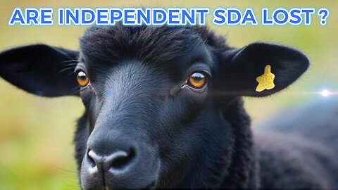 Are seventh day adventist independent ministries lost ?