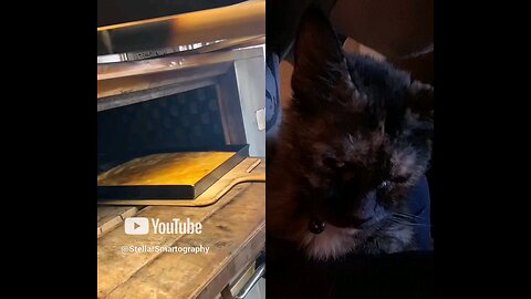 Kitty Loves Pepperoni Grease Ranch Sauced Deep Dish Italian Pizza DELICIOUS YUM RECIPE