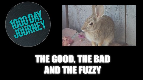 1000 Day Journey 0730 The Good, The Bad, and The Fuzzy