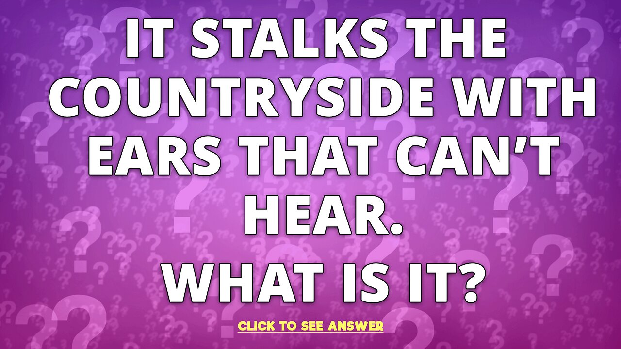 Solve this riddle and play our quiz