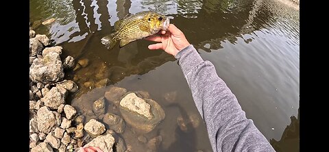 Western Michigan: Bassin’ on the Side of the Road