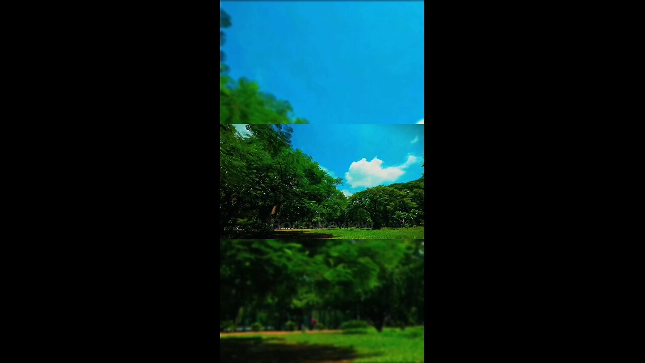 ⏱️ Ramna Park Time lapse That Feels Like a Dream | Clouds Drift, Trees Dance & Life Moves On 🌳☁️