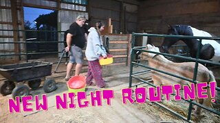 NEW Night Routine With The HORSES and Baby GOAT Update!