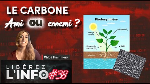 Le Carbone : Ami ou ennemi ?