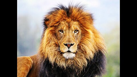 25.09.09 Tom's Take - What is Heaven Legislating