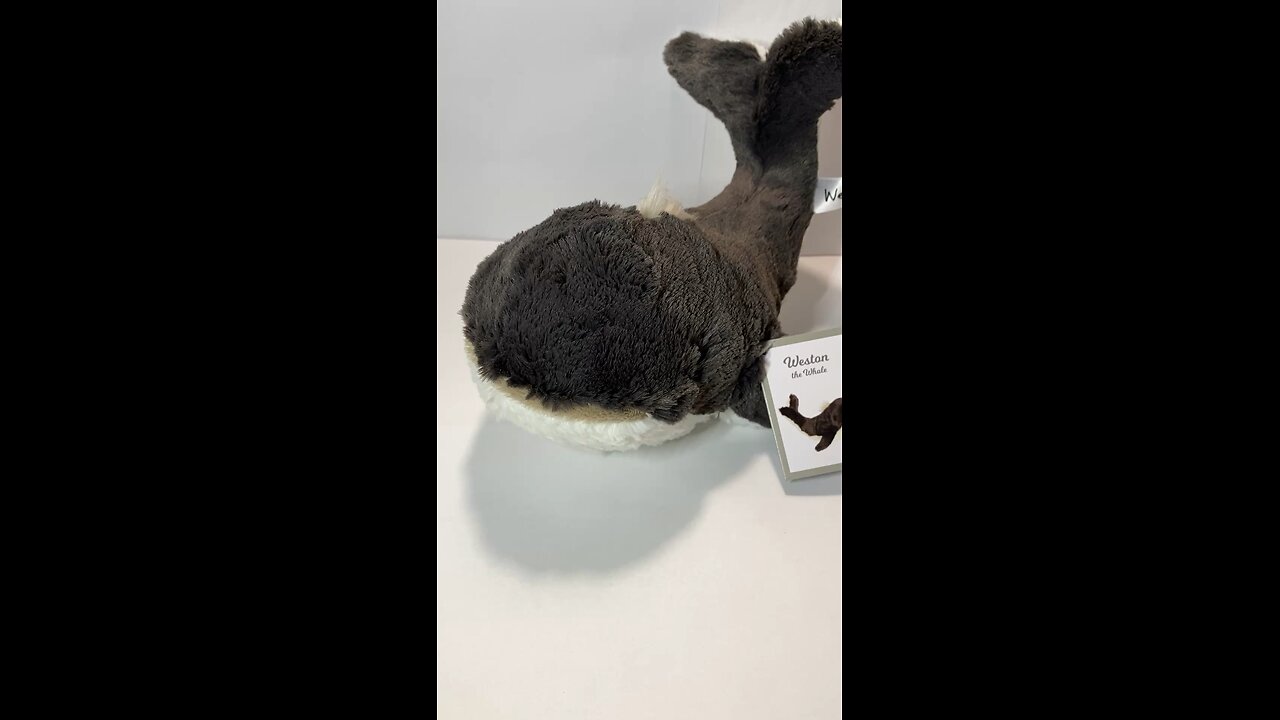 Mini-Vlog: Stop & Shop: Weston the Whale - Stuffed Plush Animal Toy Plushy by Aurora (New) 2024-25