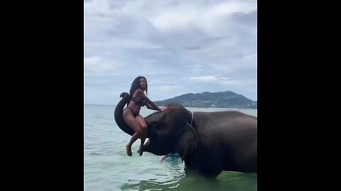 Epic Fail! Woman Sits on Elephant's Trunk and Gets the Ride of Her Life! 😂🐘
