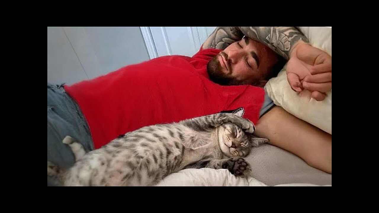 This cat copies every move 🤣