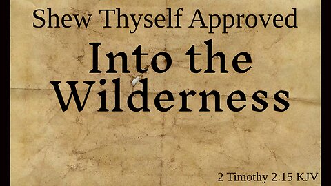 Into the Wilderness