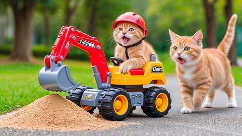 Mama Cat Bakes All Day to Surprise Kitten with New Toy Excavator 🐱❤️🚜 | Heartwarming Story