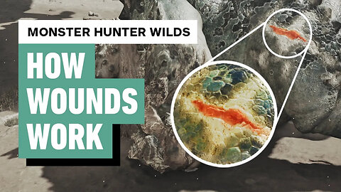 Monster Hunter Wilds - How Wounds Work