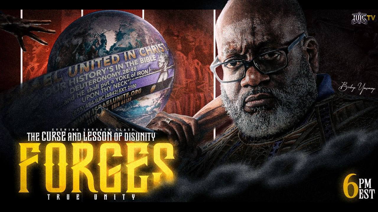 THE CURSE AND LESSON OF DISUNITY FORGES TRUE UNITY