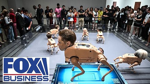 Silicon Valley investor Jason Calacanis says XAI will be top contender