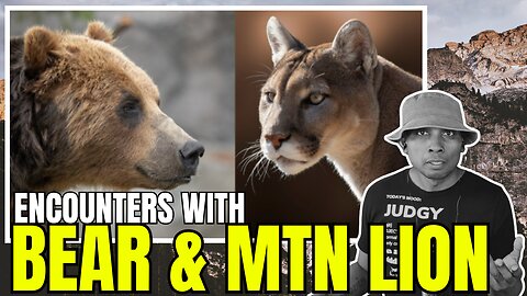 WILD California Trails: Mountain LION Stalks Bikers + Woman Roars Back at Mama BEAR!!