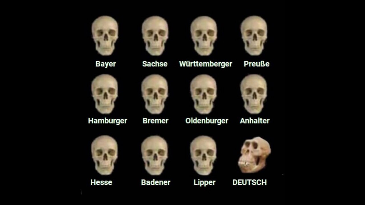 Alice Weidel