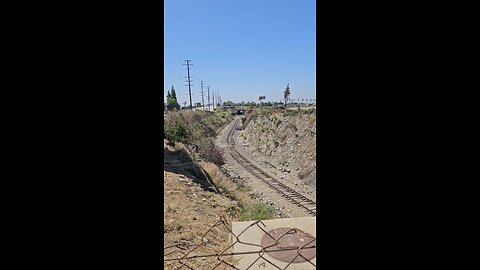 Southern California 💛🧡 treasure 🪙🪙