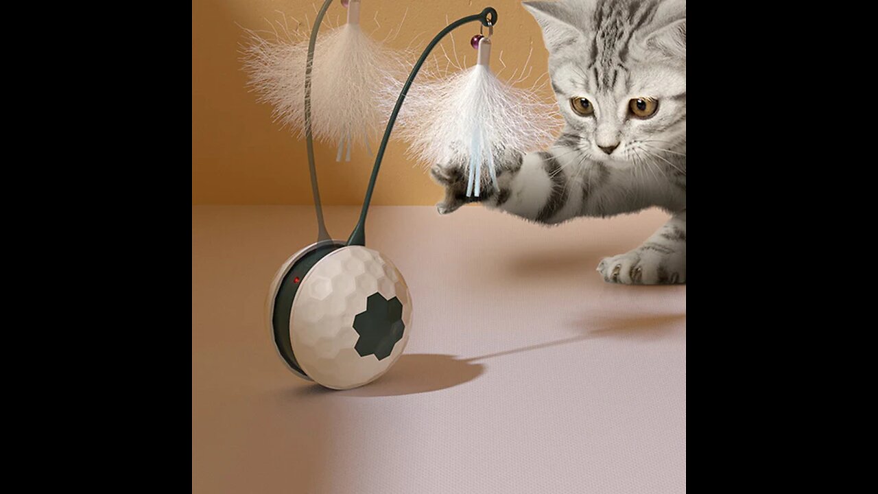 Automatic Funny Cat Toy