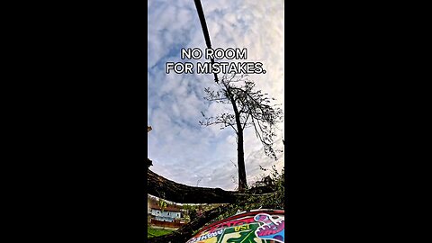 Tree vs Crane