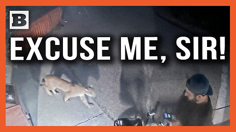 Get Off Your Phone When There Are Mountain Lions Around!