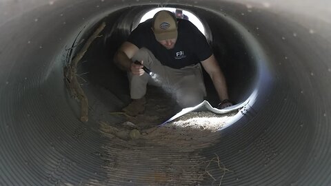 Jesse Watters Primetime (Full episode) - Tuesday, February 10