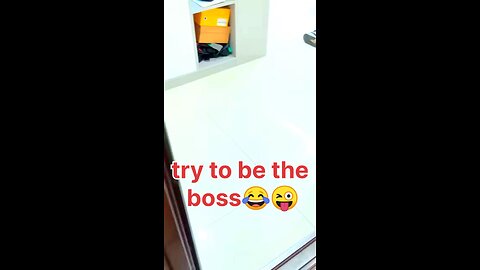 try to be the boss 😂🐕#funnydog, #dogfails, #cutepuppy,