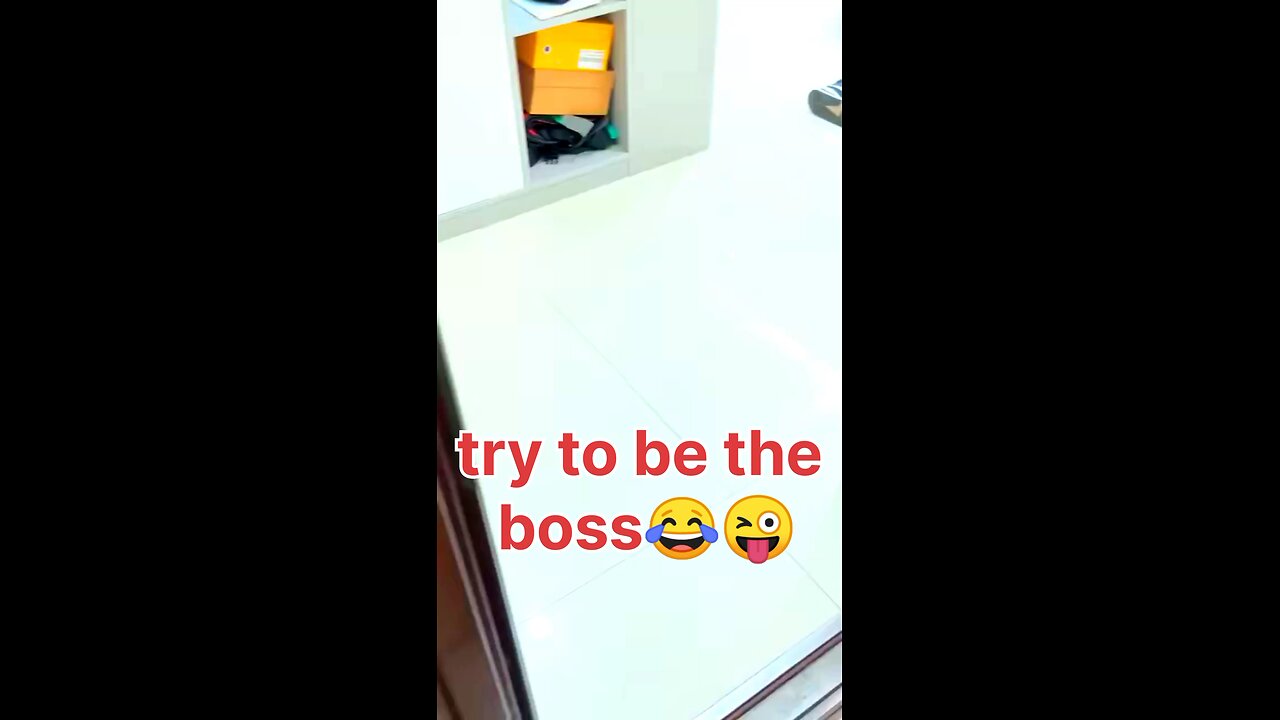try to be the boss 😂🐕#funnydog, #dogfails, #cutepuppy,