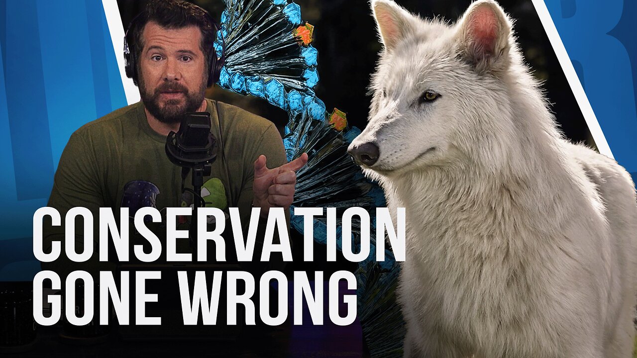 Why Conservation Efforts Do More Harm Than Good