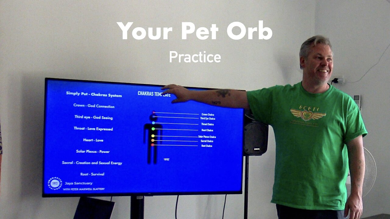 Pet Orb Practice