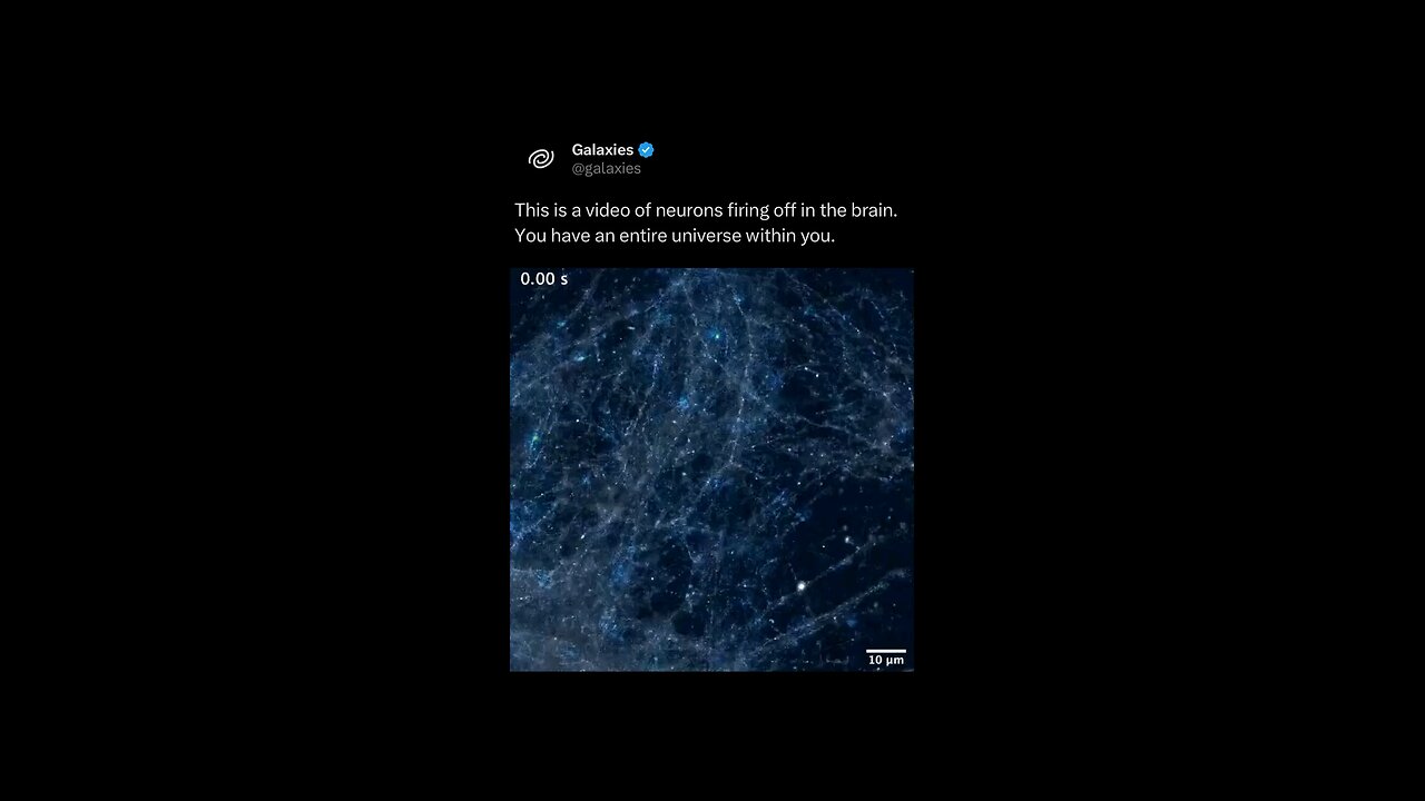 Human Brain tell me there's no creator?