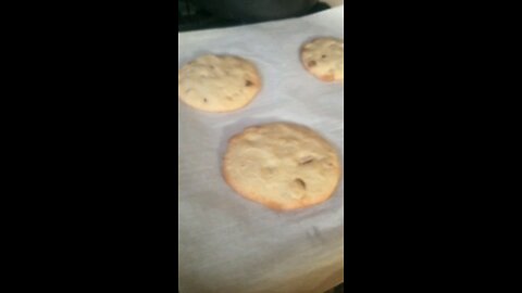 Sour dough chocolate chip, almond, walnut, cookies