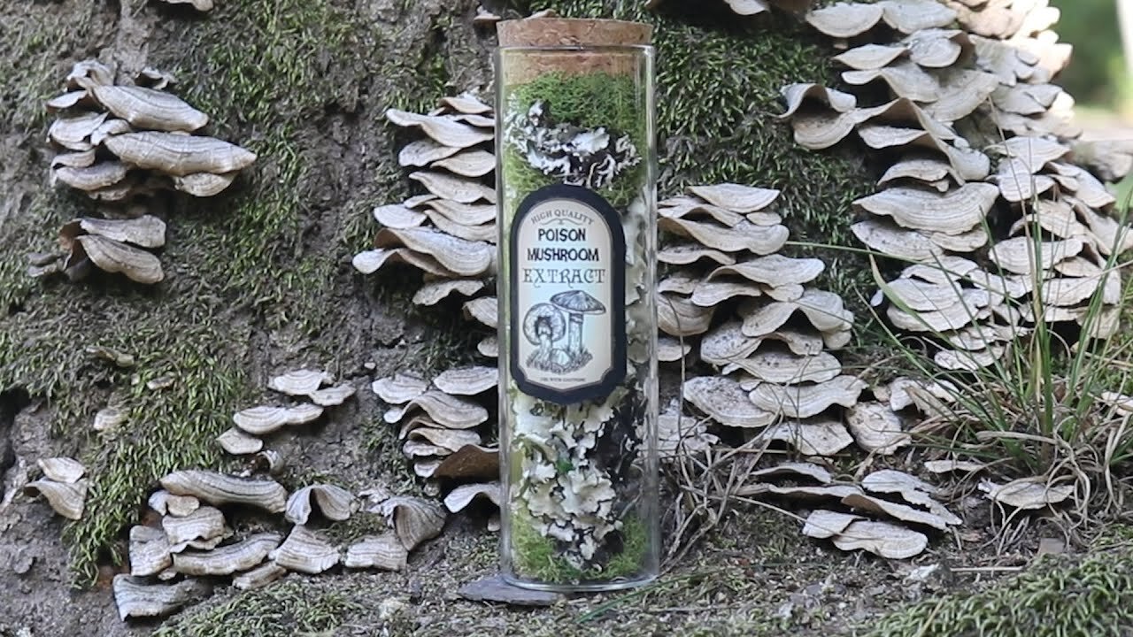 The #1 Halloween DIY Project You Need to Try This Year - Apothecary Bottles!