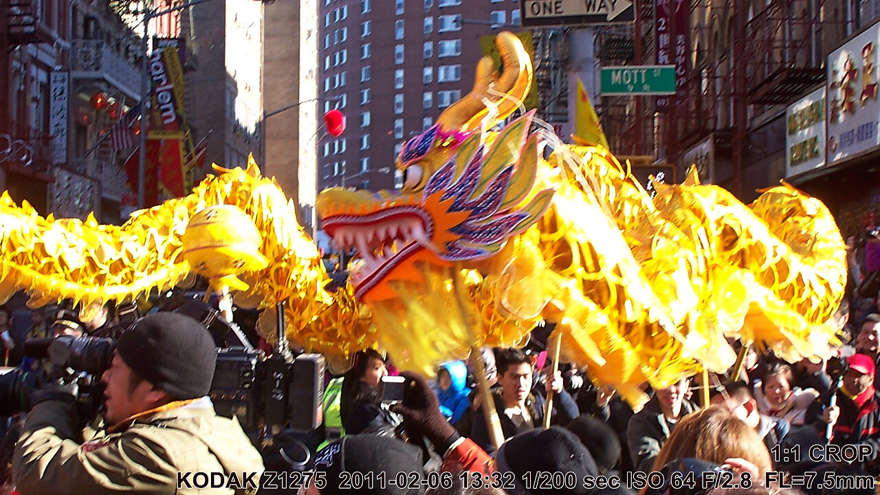 CHINESE NEW YEAR 2011 NYC