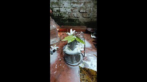 shiv puja