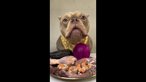 The bully dog eats so deliciously.