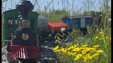 Best of Spring Wildflower Season 2024 & 2025