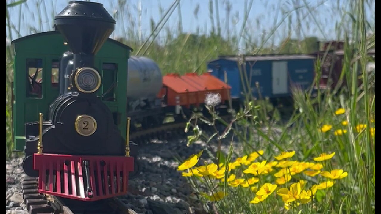 Best of Spring Wildflower Season 2024 & 2025