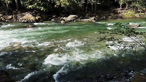(4K UHD) SILENT PERSPECTIVES @ Douglas Fir Campground! | Nooksack River | Mt. Baker-Snoqualmie NF