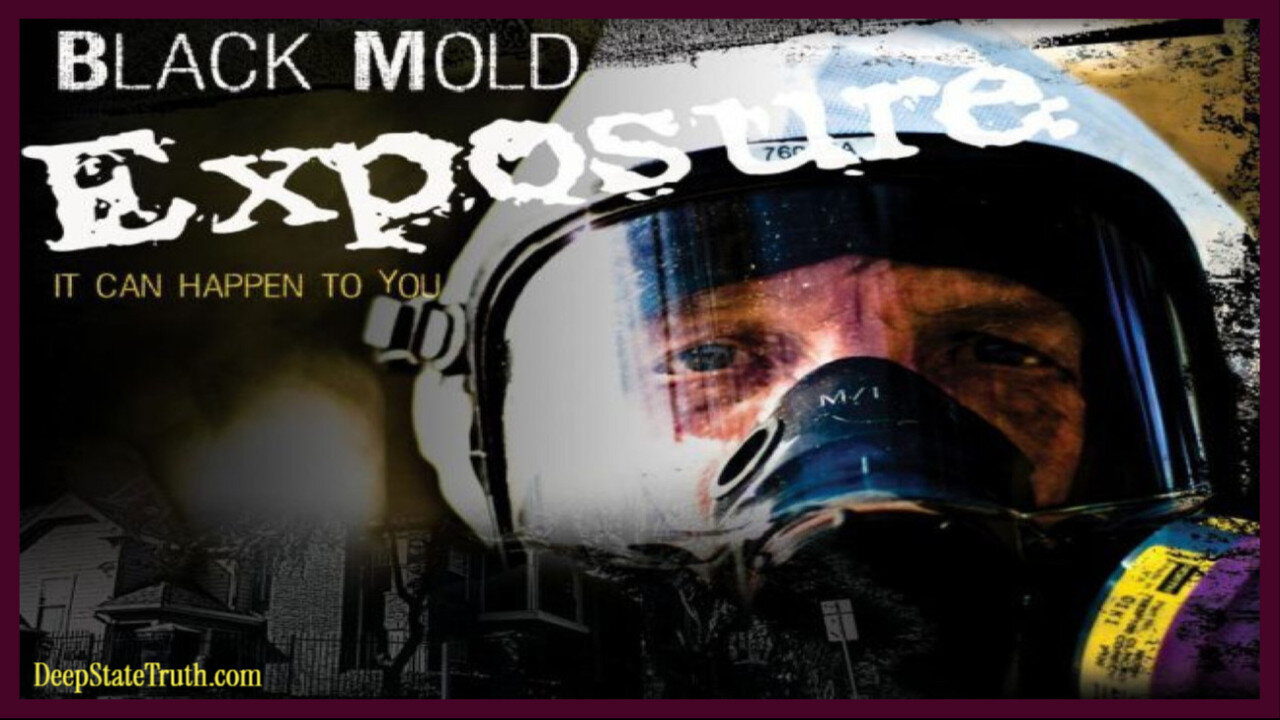 🎬 🍄 Documentary: 'Black Mold Exposure' ⭐ Exploring Health Challenges Faced By People Exposed to Toxic Mold