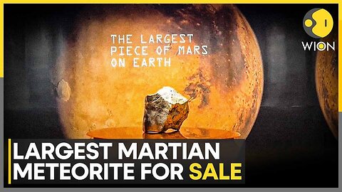 World's Largest Martian Meteorite For Sale, Sotheby's Auction Expected To Break Records | WION