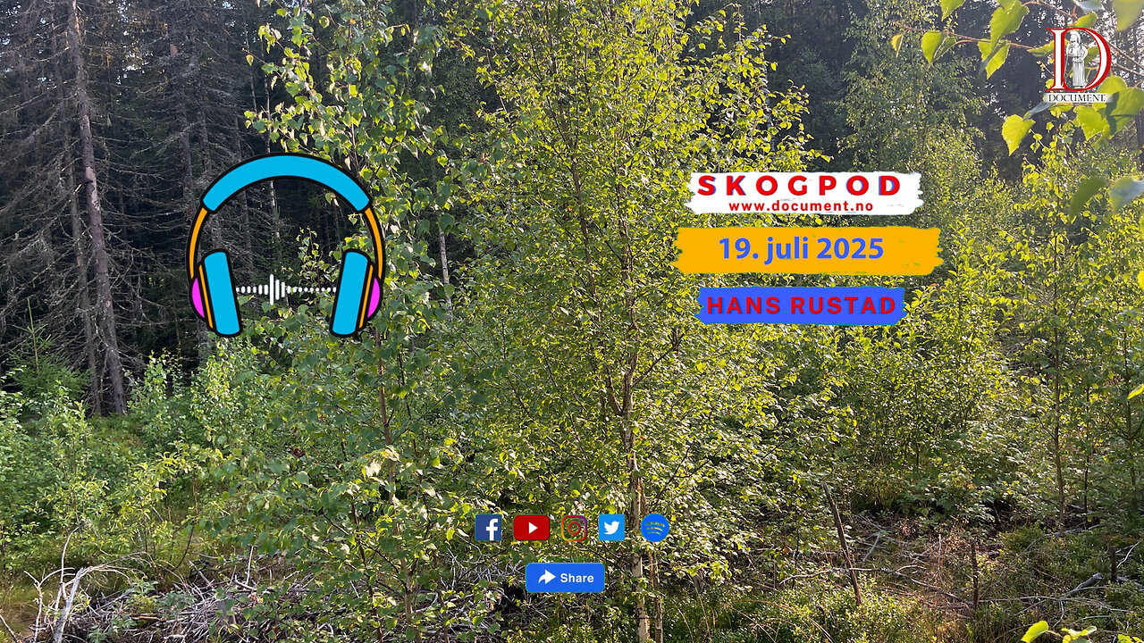 Skogpod 19. juli 2025