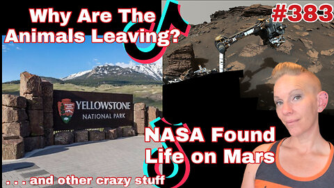 The Strangest Stuff on the Internet