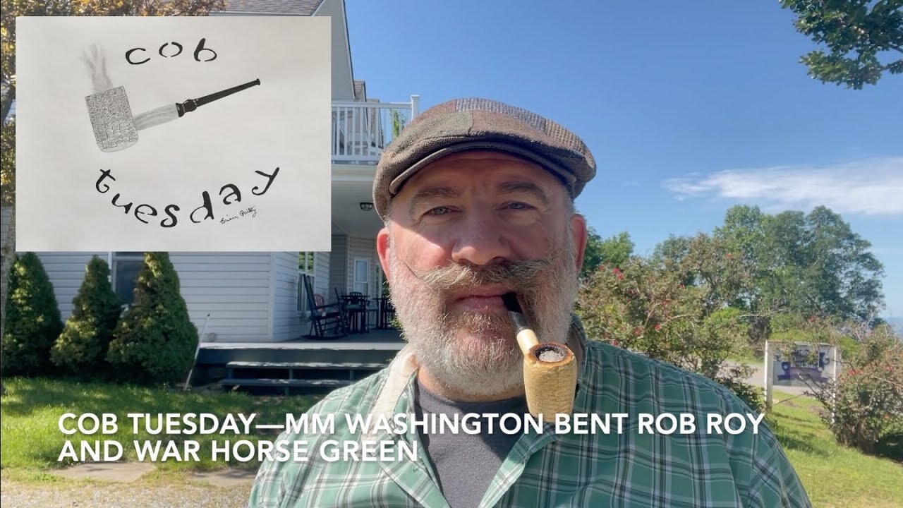 Cob Tuesday—MM Washington Bent Rob Roy and War Horse Green