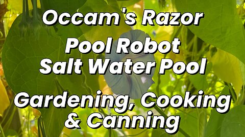 Pool Robot – Salt Water – Occam’s Razor Gardening, Cooking & Canning