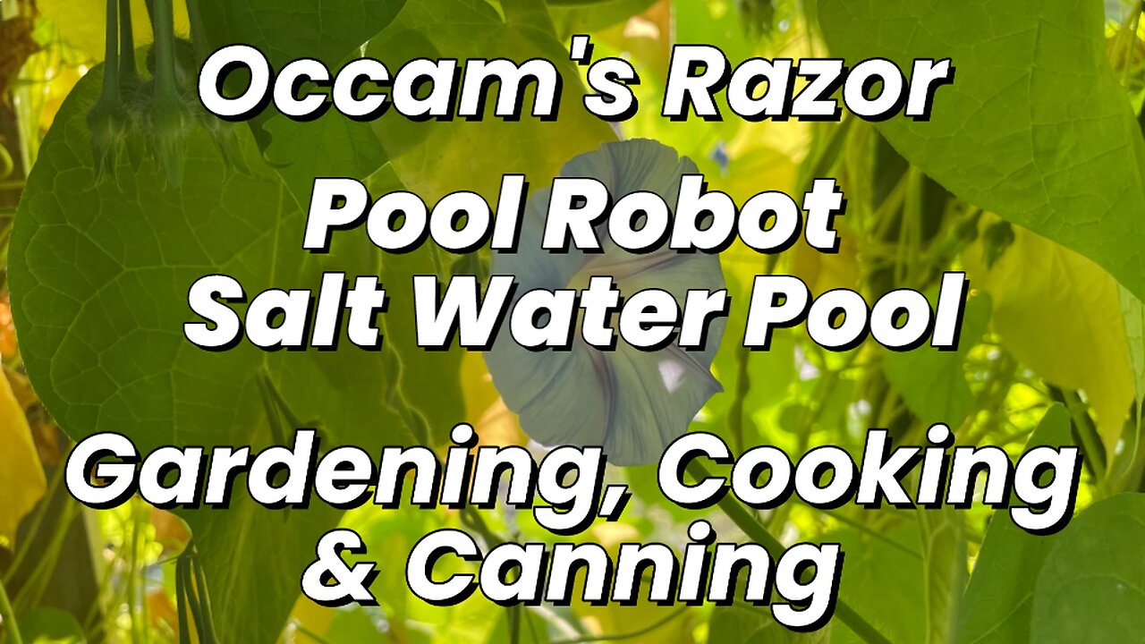 Pool Robot – Salt Water – Occam’s Razor Gardening, Cooking & Canning