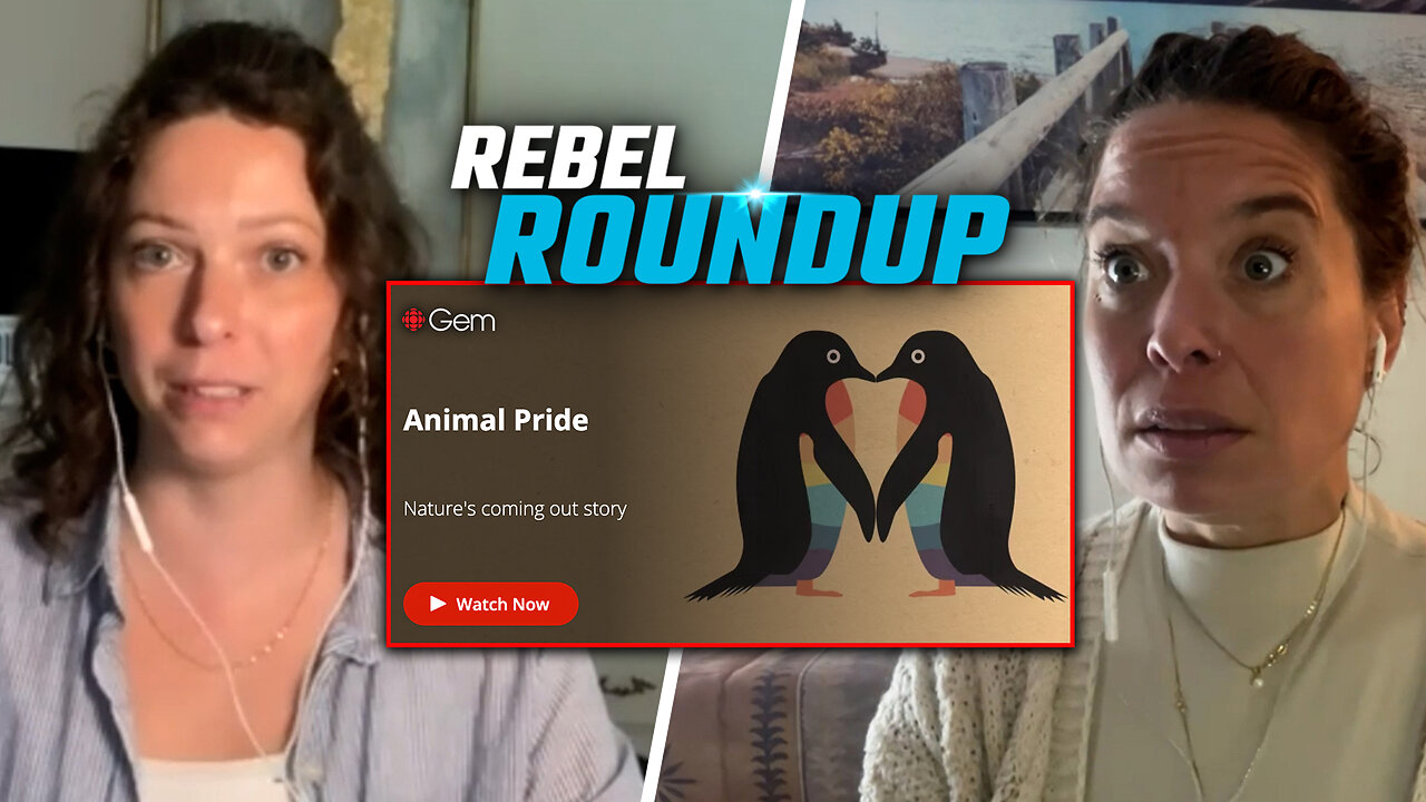 Gay animals? CBC explores 'queer wildlife' in new documentary
