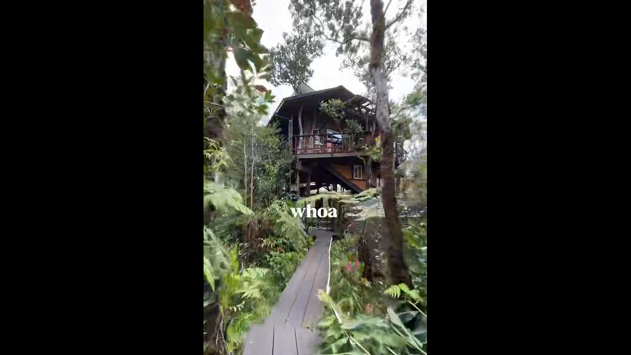 Secret 🌳TREEHOUSE🌳~ Unique Features & Beauty of NATURE