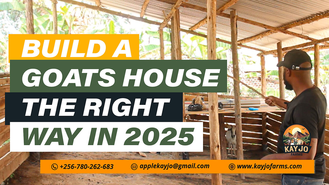 How To Build A Goats House The Right Way in 2025 | ep25 #goatfarming #goathouse